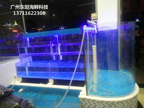 佛山海鮮池配件與玻璃魚缸 寵物水族配件的專業(yè)選擇指南