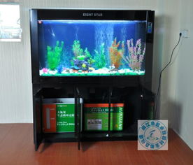 閩江水族箱大型生態(tài)魚缸玻璃水族箱龍魚缸底過(guò)濾閩江八星1.5米