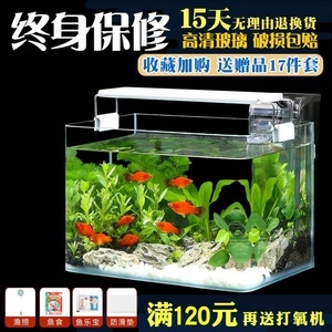 超白草缸 打造水底綠洲，從精選魚缸與寵物配件開始