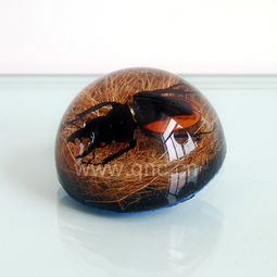 樹(shù)脂塑膠工藝品的魅力 探索15錢(qián)眼產(chǎn)品分類(lèi)中的塑料工藝品